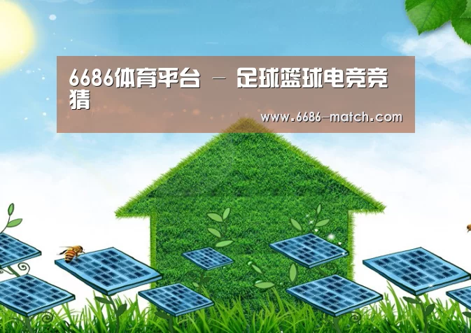 6686官网公司