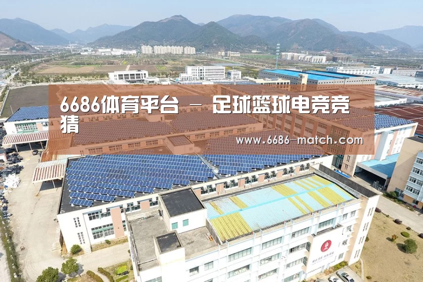 案例展示二