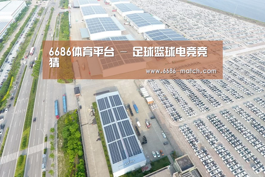 案例展示四