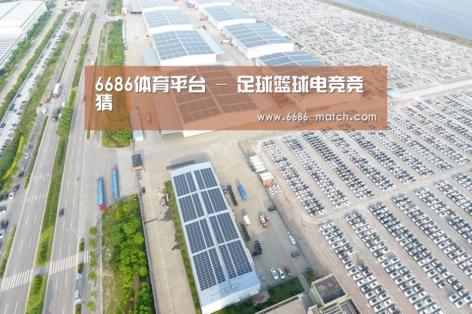 案例展示三