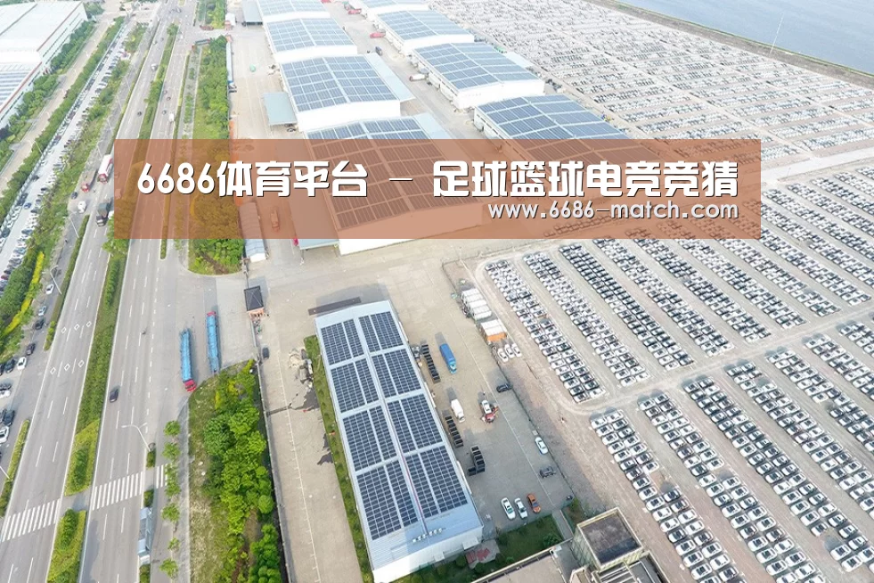 案例展示二