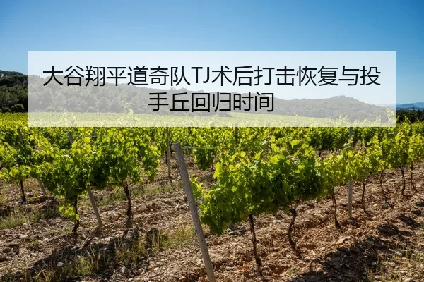 大谷翔平道奇队TJ术后打击恢复与投手丘回归时间