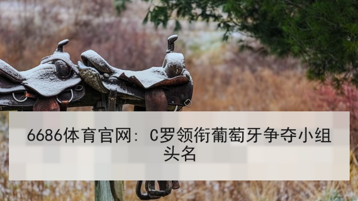 6686体育官网: C罗领衔葡萄牙争夺小组头名