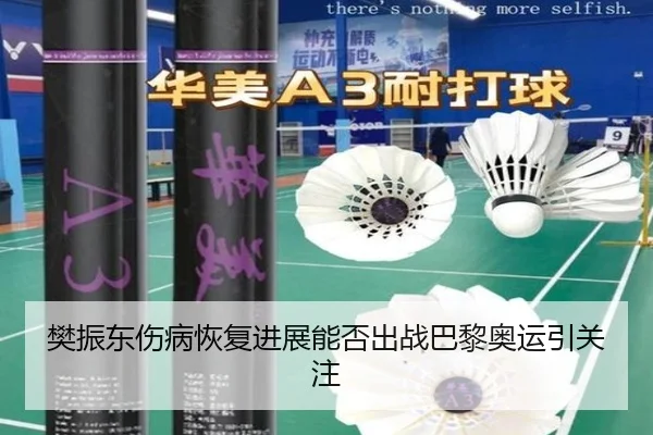 樊振东伤病恢复进展能否出战巴黎奥运引关注