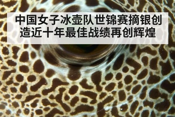 中国女子冰壶队世锦赛摘银创造近十年最佳战绩再创辉煌