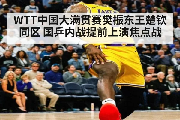 WTT中国大满贯赛樊振东王楚钦同区 国乒内战提前上演焦点战