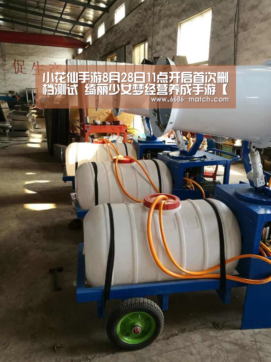 6686官方入口